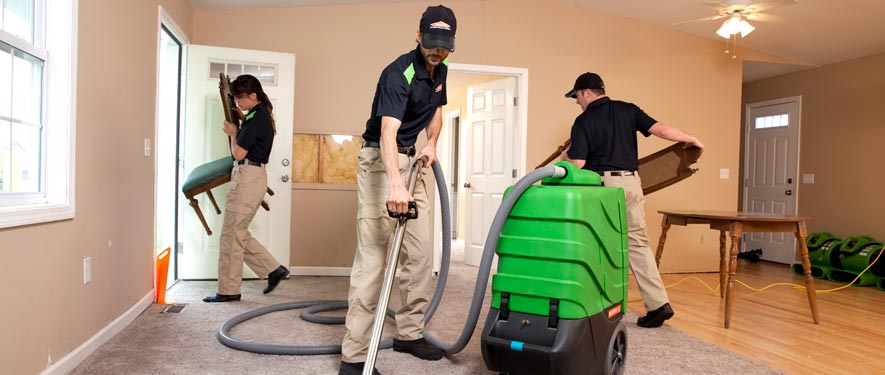 Scarsdale, NY cleaning services
