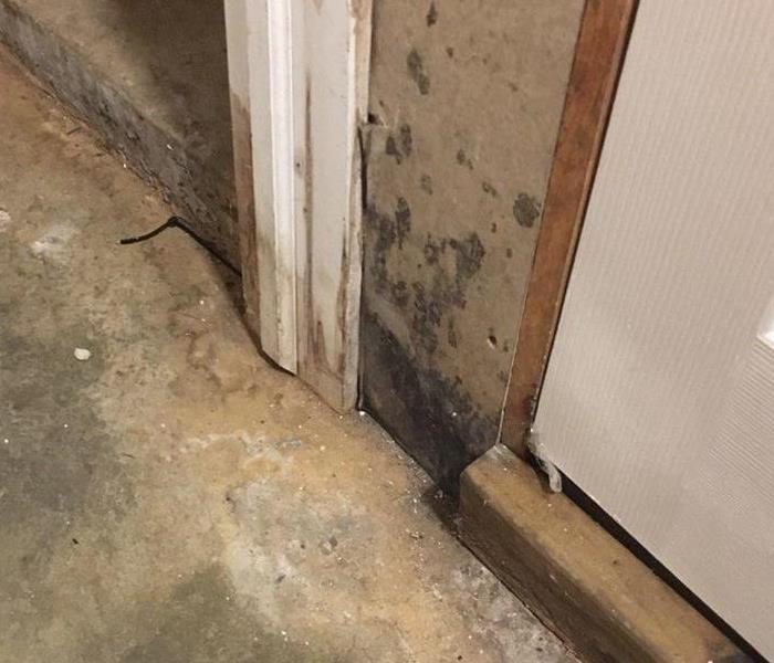 Mold growth on a wall.