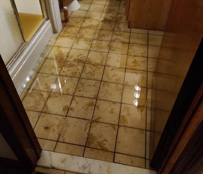 Sewage backup in a home in the bathroom