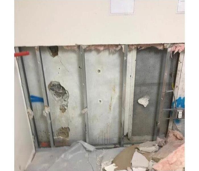 Mold discovered behind walls