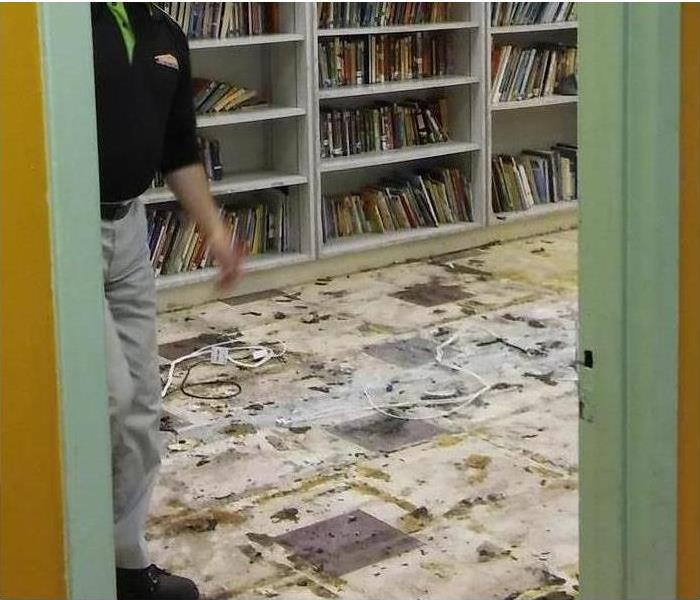 Flooded Library
